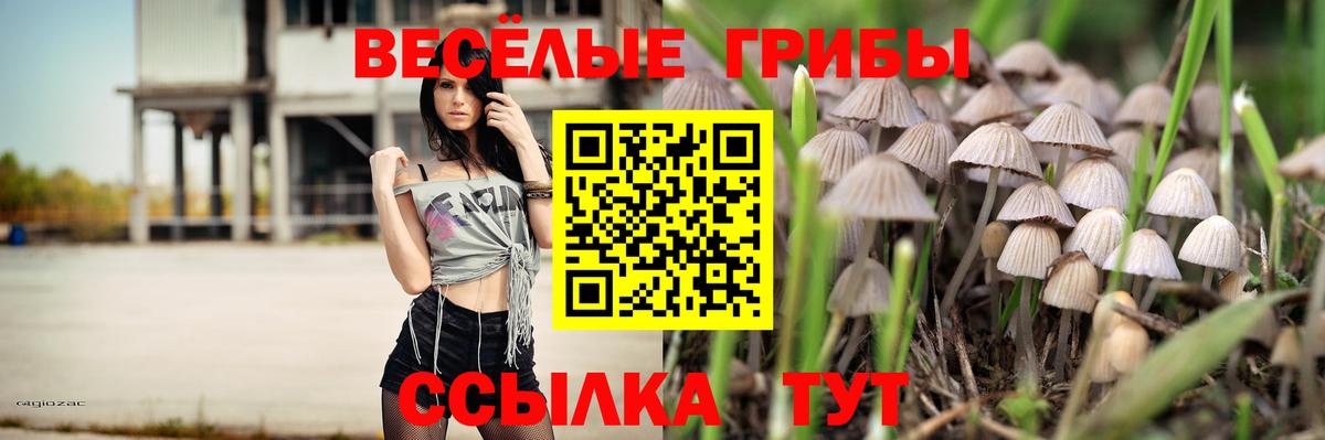 Галлюциногенные грибы Magic Shrooms Лосино-Петровский